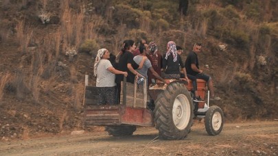 Köyceğiz cayır cayır yanıyor: 4 mahalle boşaltıldı