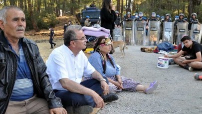 Köylüler ağaçlar kesilmesin diye aylarca nöbet tutmuştu: Akbelen için mahkeme kararını verdi