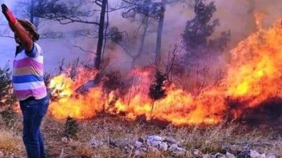 Muğla'da bir orman yangını daha çıktı
