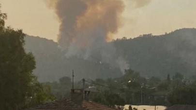 Muğla'da Milas ve Köyceğiz yangınları sürerken,  bir ilçede daha çıktı