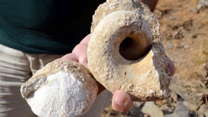 Muş'ta 35 milyon yıllık olduğu düşünülen deniz canlısı fosili