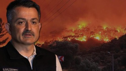 Pakdemirli'den Bodrum'daki yangınla ilgili açıklama 