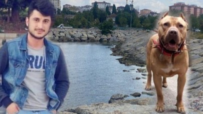 Pendik'te yüzerken boğulan Oğuzhan Doğan'a denizde pitbull köpek saldırmış! Köpeğin sahibi de konuştu