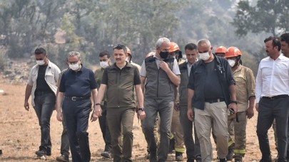 Tarım ve Orman Bakanı Bekir Pakdemirli'den müjdeli haber