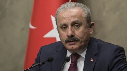 TBMM Başkanı Mustafa Şentop: Devletimiz yakılan bir dalın dahi hesabını sorar