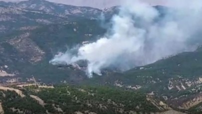 Tunceli'de orman yangını: Valilikten açıklama