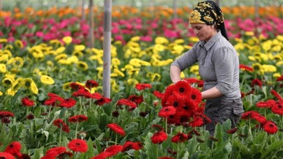 Türkiye'nin tarım ihracatı yüzde 34, 9 yükselerek 121 milyar doları geçti!