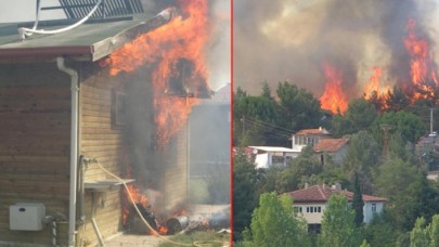 Uşak'ta orman yangını! Müdahale ediliyor