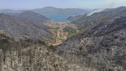Yanan ormanların yerine ne olacak: İşte açıklanan 3 senaryo!