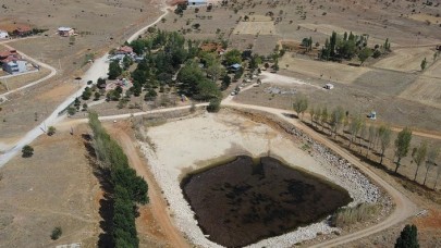 Balıklıpınar kuraklık nedeniyle kurumaya yüz tutunca 'efsanevi' balıkları da tehlikeye girdi
