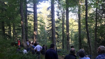 Düzce'de kestiği ağacın altında kaldı: Musa Ay öldü