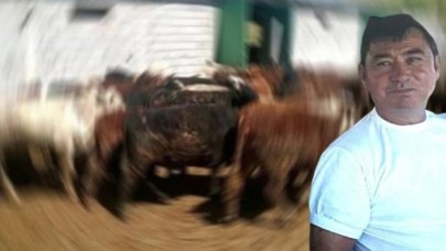 Edremit'te çiftliğe silahlı baskın: Muharrem Güler öldü