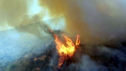 Muğla'da alarm: Milas ve Bodrum'da orman yangını çıktı