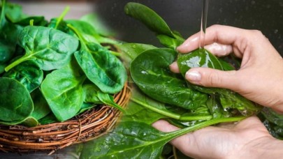 Bakan Pakdemirli'den flaş açıklama: Ispanaklara el konuldu!