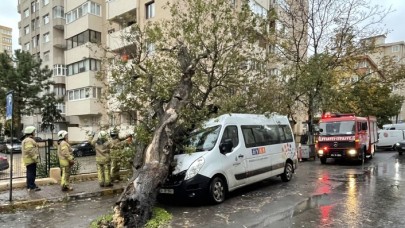 Gemiler battı,  ağaçlar devrildi,  çatılar uçtu: İstanbul'da fırtınanın biteceği saat açıklandı