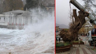 Hızı bakın kaç kilometre ölçüldü: İstanbul'da fırtına hayatı alt üst etti,  4 kişi hayatını kaybetti
