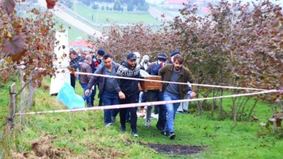 Kocaeli'de fındık tarlasında cesedi bulundu: Ali Kemal Bayır bıçaklanarak öldürülmüş