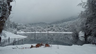 Bolu'da Sülüklügöl'de dehşet: Hüseyin Fırat öldü,  Ferdi Fırat yaralı