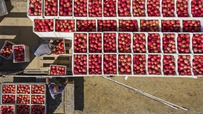 Tarım sektöründe  tüm zamanların en yüksek ihracatı