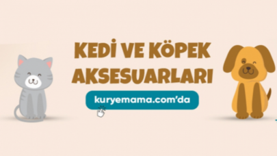 Türkiye'nin en hızlı mama kedi köpek peluş ödülleri ürünlerinde aynı gün teslimat kurye mama
