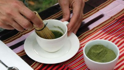 ÇAYKUR çay tohumundan yağ üretimi üzerinde çalışıyor