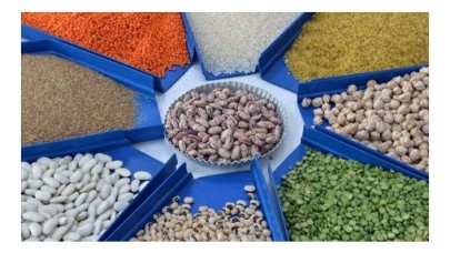 Hububat ve bakliyat ihracatından 9, 2 milyar dolar gelir