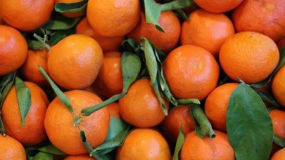 Narenciye sektörü,  bahçe ile market arasındaki yüksek fiyat farkından şikayetçi