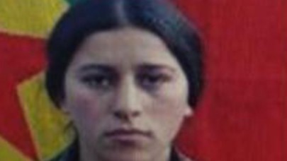 Gri listeye bir çizik: 8 şehidin katili etkisiz hale getirildi