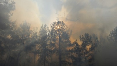 Orman yangınlarına 'yapay zeka' ile anında tespit