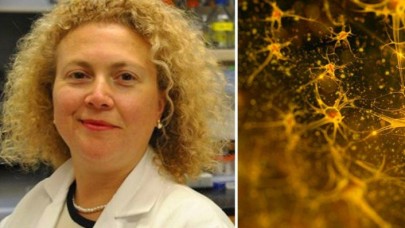 Tarihi buluş: Doç. Dr. Hande Özdinler ölü beyin hücresini yeniden canlandırdı