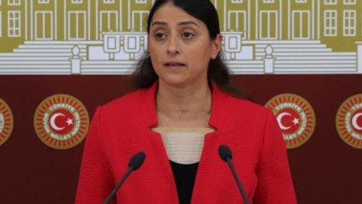 Türkiye'yi 'soykırım'la suçlayan HDP'li vekilden dostlarına skandal çağrı!