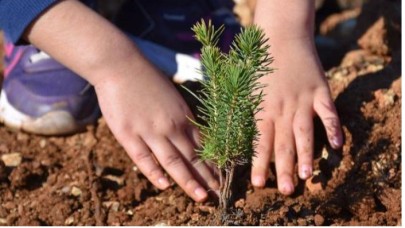 600 milyon fidan toprakla buluşacak