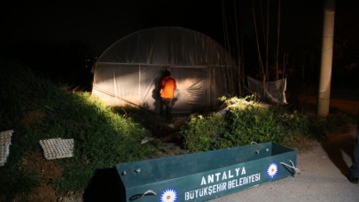 Antalya'da serada çalışıyordu: Cemil Bağlan öldü
