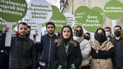 İBB'ye çınar tepkisi! Alkışlayacak yapraklar bile kalmamış