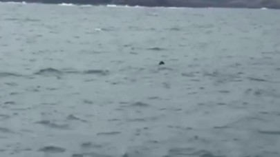 Mayın alarmı! İstanbul Boğazı kapatıldı: MSB'den açıklama