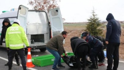 Nevşehir'de feci kaza: Üniversiteli Umut Can Gürel öldü