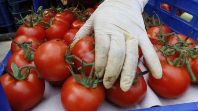 Rusya kısıtlamayı kaldırdı! Sebze ithalatını artırıyor