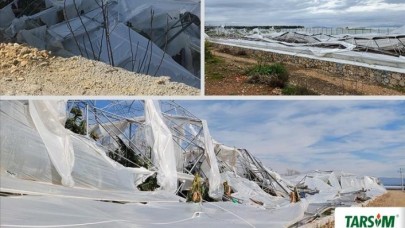 Antalyalı üreticilere 61, 5 milyon TL sera hasar ödemesi öngörüyor