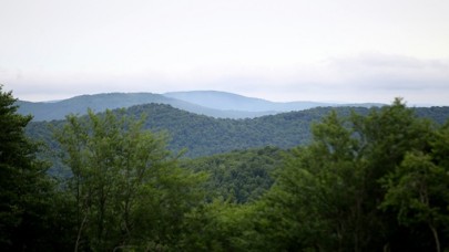 Türkiye'nin orman varlığı bir yılda 177 bin hektar arttı