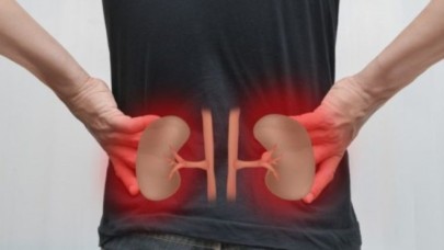 Türkiye'de her 7 kişiden birinde böbrek rahatsızlığı bulunuyor