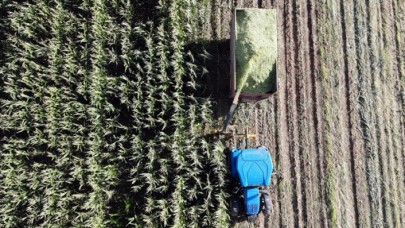 Uzman Eller Projesi başvurularında sona gelindi