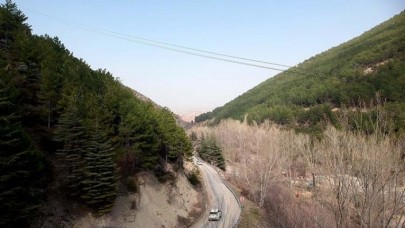 Ağaçlandırma seferberliğinin kahramanı 2 kardeş eserleri ormanla gurur duyuyor