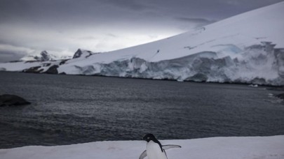 Prof. Dr. Külköylüoğlu: Kutup araştırmalarında Avrupa söz sahibiyiz