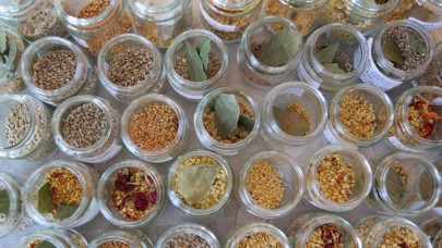 'Ata tohumları' yerli tohum geliştirilmesinde kilit rol oynuyor