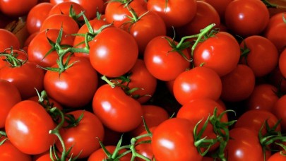 Domates fiyatında son 7 yılın rekoru kırıldı!