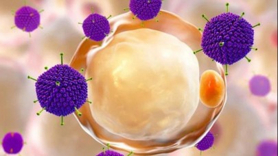 DSÖ'den korkutan açıklama: Gizemli hastalık yayılıyor!