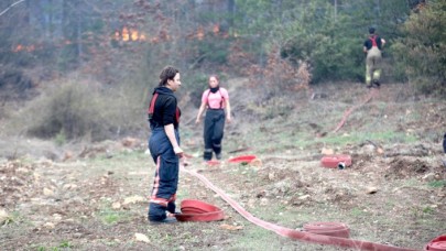 Havalar ısındı,  yangın sezonu başladı! 4 ilde birden çıktı