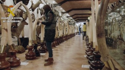 İspanya’da binden fazla dondurulmuş hayvan ele geçirildi