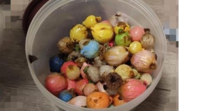 Otelde ölü bulunan gencin midesinden çıkanlar şoke etti