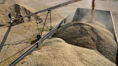 Sertifikalı tohumculuğa 3, 4 milyar liralık destek